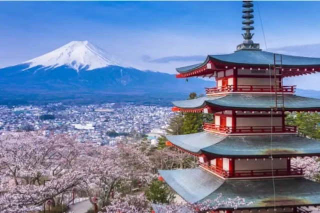 {"type":"elementor","siteurl":"https://royalbd.spinmats.com/wp-json/","elements":[{"id":"45e43d48","elType":"widget","isInner":false,"isLocked":false,"settings":{"title_text":"From Tokyo, Japan To Chattogram","description_text":"Weekly Direct Console","image_size":{"unit":"%","size":100,"sizes":[]},"_padding":{"unit":"px","top":"10","right":"10","bottom":"10","left":"10","isLinked":true},"_border_radius":{"unit":"px","top":"0","right":"20","bottom":"0","left":"20","isLinked":false},"_box_shadow_box_shadow":{"horizontal":0,"vertical":0,"blur":3,"spread":0,"color":"rgba(0,0,0,0.5)"},"pa_condition_repeater":[],"premium_tooltip_text":"Hi, I'm a global tooltip.","premium_tooltip_position":"top,bottom","image":{"id":55,"url":"http://seatranz.test/wp-content/uploads/2024/08/What-to-do-in-Tokyo-Japan-Itinerary-1920x1042-1.jpg"},"image_border_radius":{"unit":"px","size":10,"sizes":[]},"_background_background":"classic","_border_border":"solid","__globals__":{"_background_color":"globals/colors?id=primary","description_color":"globals/colors?id=b10e555","image_border_color":"globals/colors?id=b10e555"},"image_border_border":"double","title_color":"#FFFFFF","thumbnail_size":"full","thumbnail_custom_dimension":{"width":"","height":""},"link":{"url":"","is_external":"","nofollow":"","custom_attributes":""},"title_size":"h3","position":"top","position_tablet":"","position_mobile":"","content_vertical_alignment":"top","content_vertical_alignment_tablet":"","content_vertical_alignment_mobile":"","text_align":"","text_align_tablet":"","text_align_mobile":"","image_space":{"unit":"px","size":15,"sizes":[]},"image_space_tablet":{"unit":"px","size":"","sizes":[]},"image_space_mobile":{"unit":"px","size":"","sizes":[]},"title_bottom_space":{"unit":"px","size":"","sizes":[]},"title_bottom_space_tablet":{"unit":"px","size":"","sizes":[]},"title_bottom_space_mobile":{"unit":"px","size":"","sizes":[]},"image_size_tablet":{"unit":"%","size":"","sizes":[]},"image_size_mobile":{"unit":"%","size":"","sizes":[]},"image_border_width":{"unit":"px","top":"","right":"","bottom":"","left":"","isLinked":true},"image_border_width_tablet":{"unit":"px","top":"","right":"","bottom":"","left":"","isLinked":true},"image_border_width_mobile":{"unit":"px","top":"","right":"","bottom":"","left":"","isLinked":true},"image_border_color":"","image_border_radius_tablet":{"unit":"px","size":"","sizes":[]},"image_border_radius_mobile":{"unit":"px","size":"","sizes":[]},"css_filters_css_filter":"","css_filters_blur":{"unit":"px","size":0,"sizes":[]},"css_filters_brightness":{"unit":"px","size":100,"sizes":[]},"css_filters_contrast":{"unit":"px","size":100,"sizes":[]},"css_filters_saturate":{"unit":"px","size":100,"sizes":[]},"css_filters_hue":{"unit":"px","size":0,"sizes":[]},"image_opacity":{"unit":"px","size":"","sizes":[]},"css_filters_hover_css_filter":"","css_filters_hover_blur":{"unit":"px","size":0,"sizes":[]},"css_filters_hover_brightness":{"unit":"px","size":100,"sizes":[]},"css_filters_hover_contrast":{"unit":"px","size":100,"sizes":[]},"css_filters_hover_saturate":{"unit":"px","size":100,"sizes":[]},"css_filters_hover_hue":{"unit":"px","size":0,"sizes":[]},"image_opacity_hover":{"unit":"px","size":"","sizes":[]},"background_hover_transition":{"unit":"px","size":0.3,"sizes":[]},"hover_animation":"","title_typography_typography":"","title_typography_font_family":"","title_typography_font_size":{"unit":"px","size":"","sizes":[]},"title_typography_font_size_tablet":{"unit":"px","size":"","sizes":[]},"title_typography_font_size_mobile":{"unit":"px","size":"","sizes":[]},"title_typography_font_weight":"","title_typography_text_transform":"","title_typography_font_style":"","title_typography_text_decoration":"","title_typography_line_height":{"unit":"px","size":"","sizes":[]},"title_typography_line_height_tablet":{"unit":"em","size":"","sizes":[]},"title_typography_line_height_mobile":{"unit":"em","size":"","sizes":[]},"title_typography_letter_spacing":{"unit":"px","size":"","sizes":[]},"title_typography_letter_spacing_tablet":{"unit":"px","size":"","sizes":[]},"title_typography_letter_spacing_mobile":{"unit":"px","size":"","sizes":[]},"title_typography_word_spacing":{"unit":"px","size":"","sizes":[]},"title_typography_word_spacing_tablet":{"unit":"em","size":"","sizes":[]},"title_typography_word_spacing_mobile":{"unit":"em","size":"","sizes":[]},"title_stroke_text_stroke_type":"","title_stroke_text_stroke":{"unit":"px","size":"","sizes":[]},"title_stroke_text_stroke_tablet":{"unit":"px","size":"","sizes":[]},"title_stroke_text_stroke_mobile":{"unit":"px","size":"","sizes":[]},"title_stroke_stroke_color":"#000","title_shadow_text_shadow_type":"","title_shadow_text_shadow":{"horizontal":0,"vertical":0,"blur":10,"color":"rgba(0,0,0,0.3)"},"description_color":"","description_typography_typography":"","description_typography_font_family":"","description_typography_font_size":{"unit":"px","size":"","sizes":[]},"description_typography_font_size_tablet":{"unit":"px","size":"","sizes":[]},"description_typography_font_size_mobile":{"unit":"px","size":"","sizes":[]},"description_typography_font_weight":"","description_typography_text_transform":"","description_typography_font_style":"","description_typography_text_decoration":"","description_typography_line_height":{"unit":"px","size":"","sizes":[]},"description_typography_line_height_tablet":{"unit":"em","size":"","sizes":[]},"description_typography_line_height_mobile":{"unit":"em","size":"","sizes":[]},"description_typography_letter_spacing":{"unit":"px","size":"","sizes":[]},"description_typography_letter_spacing_tablet":{"unit":"px","size":"","sizes":[]},"description_typography_letter_spacing_mobile":{"unit":"px","size":"","sizes":[]},"description_typography_word_spacing":{"unit":"px","size":"","sizes":[]},"description_typography_word_spacing_tablet":{"unit":"em","size":"","sizes":[]},"description_typography_word_spacing_mobile":{"unit":"em","size":"","sizes":[]},"description_shadow_text_shadow_type":"","description_shadow_text_shadow":{"horizontal":0,"vertical":0,"blur":10,"color":"rgba(0,0,0,0.3)"},"_title":"","_margin":{"unit":"px","top":"","right":"","bottom":"","left":"","isLinked":true},"_margin_tablet":{"unit":"px","top":"","right":"","bottom":"","left":"","isLinked":true},"_margin_mobile":{"unit":"px","top":"","right":"","bottom":"","left":"","isLinked":true},"_padding_tablet":{"unit":"px","top":"","right":"","bottom":"","left":"","isLinked":true},"_padding_mobile":{"unit":"px","top":"","right":"","bottom":"","left":"","isLinked":true},"_element_width":"","_element_width_tablet":"","_element_width_mobile":"","_element_custom_width":{"unit":"%","size":"","sizes":[]},"_element_custom_width_tablet":{"unit":"px","size":"","sizes":[]},"_element_custom_width_mobile":{"unit":"px","size":"","sizes":[]},"_flex_align_self":"","_flex_align_self_tablet":"","_flex_align_self_mobile":"","_flex_order":"","_flex_order_tablet":"","_flex_order_mobile":"","_flex_order_custom":"","_flex_order_custom_tablet":"","_flex_order_custom_mobile":"","_flex_size":"","_flex_size_tablet":"","_flex_size_mobile":"","_flex_grow":1,"_flex_grow_tablet":"","_flex_grow_mobile":"","_flex_shrink":1,"_flex_shrink_tablet":"","_flex_shrink_mobile":"","_element_vertical_align":"","_element_vertical_align_tablet":"","_element_vertical_align_mobile":"","_position":"","_offset_orientation_h":"start","_offset_x":{"unit":"px","size":0,"sizes":[]},"_offset_x_tablet":{"unit":"px","size":"","sizes":[]},"_offset_x_mobile":{"unit":"px","size":"","sizes":[]},"_offset_x_end":{"unit":"px","size":0,"sizes":[]},"_offset_x_end_tablet":{"unit":"px","size":"","sizes":[]},"_offset_x_end_mobile":{"unit":"px","size":"","sizes":[]},"_offset_orientation_v":"start","_offset_y":{"unit":"px","size":0,"sizes":[]},"_offset_y_tablet":{"unit":"px","size":"","sizes":[]},"_offset_y_mobile":{"unit":"px","size":"","sizes":[]},"_offset_y_end":{"unit":"px","size":0,"sizes":[]},"_offset_y_end_tablet":{"unit":"px","size":"","sizes":[]},"_offset_y_end_mobile":{"unit":"px","size":"","sizes":[]},"_z_index":"","_z_index_tablet":"","_z_index_mobile":"","_element_id":"","_css_classes":"","_animation":"","_animation_tablet":"","_animation_mobile":"","animation_duration":"","_animation_delay":"","_transform_rotate_popover":"","_transform_rotateZ_effect":{"unit":"px","size":"","sizes":[]},"_transform_rotateZ_effect_tablet":{"unit":"deg","size":"","sizes":[]},"_transform_rotateZ_effect_mobile":{"unit":"deg","size":"","sizes":[]},"_transform_rotate_3d":"","_transform_rotateX_effect":{"unit":"px","size":"","sizes":[]},"_transform_rotateX_effect_tablet":{"unit":"deg","size":"","sizes":[]},"_transform_rotateX_effect_mobile":{"unit":"deg","size":"","sizes":[]},"_transform_rotateY_effect":{"unit":"px","size":"","sizes":[]},"_transform_rotateY_effect_tablet":{"unit":"deg","size":"","sizes":[]},"_transform_rotateY_effect_mobile":{"unit":"deg","size":"","sizes":[]},"_transform_perspective_effect":{"unit":"px","size":"","sizes":[]},"_transform_perspective_effect_tablet":{"unit":"px","size":"","sizes":[]},"_transform_perspective_effect_mobile":{"unit":"px","size":"","sizes":[]},"_transform_translate_popover":"","_transform_translateX_effect":{"unit":"px","size":"","sizes":[]},"_transform_translateX_effect_tablet":{"unit":"px","size":"","sizes":[]},"_transform_translateX_effect_mobile":{"unit":"px","size":"","sizes":[]},"_transform_translateY_effect":{"unit":"px","size":"","sizes":[]},"_transform_translateY_effect_tablet":{"unit":"px","size":"","sizes":[]},"_transform_translateY_effect_mobile":{"unit":"px","size":"","sizes":[]},"_transform_scale_popover":"","_transform_keep_proportions":"yes","_transform_scale_effect":{"unit":"px","size":"","sizes":[]},"_transform_scale_effect_tablet":{"unit":"px","size":"","sizes":[]},"_transform_scale_effect_mobile":{"unit":"px","size":"","sizes":[]},"_transform_scaleX_effect":{"unit":"px","size":"","sizes":[]},"_transform_scaleX_effect_tablet":{"unit":"px","size":"","sizes":[]},"_transform_scaleX_effect_mobile":{"unit":"px","size":"","sizes":[]},"_transform_scaleY_effect":{"unit":"px","size":"","sizes":[]},"_transform_scaleY_effect_tablet":{"unit":"px","size":"","sizes":[]},"_transform_scaleY_effect_mobile":{"unit":"px","size":"","sizes":[]},"_transform_skew_popover":"","_transform_skewX_effect":{"unit":"px","size":"","sizes":[]},"_transform_skewX_effect_tablet":{"unit":"deg","size":"","sizes":[]},"_transform_skewX_effect_mobile":{"unit":"deg","size":"","sizes":[]},"_transform_skewY_effect":{"unit":"px","size":"","sizes":[]},"_transform_skewY_effect_tablet":{"unit":"deg","size":"","sizes":[]},"_transform_skewY_effect_mobile":{"unit":"deg","size":"","sizes":[]},"_transform_flipX_effect":"","_transform_flipY_effect":"","_transform_rotate_popover_hover":"","_transform_rotateZ_effect_hover":{"unit":"px","size":"","sizes":[]},"_transform_rotateZ_effect_hover_tablet":{"unit":"deg","size":"","sizes":[]},"_transform_rotateZ_effect_hover_mobile":{"unit":"deg","size":"","sizes":[]},"_transform_rotate_3d_hover":"","_transform_rotateX_effect_hover":{"unit":"px","size":"","sizes":[]},"_transform_rotateX_effect_hover_tablet":{"unit":"deg","size":"","sizes":[]},"_transform_rotateX_effect_hover_mobile":{"unit":"deg","size":"","sizes":[]},"_transform_rotateY_effect_hover":{"unit":"px","size":"","sizes":[]},"_transform_rotateY_effect_hover_tablet":{"unit":"deg","size":"","sizes":[]},"_transform_rotateY_effect_hover_mobile":{"unit":"deg","size":"","sizes":[]},"_transform_perspective_effect_hover":{"unit":"px","size":"","sizes":[]},"_transform_perspective_effect_hover_tablet":{"unit":"px","size":"","sizes":[]},"_transform_perspective_effect_hover_mobile":{"unit":"px","size":"","sizes":[]},"_transform_translate_popover_hover":"","_transform_translateX_effect_hover":{"unit":"px","size":"","sizes":[]},"_transform_translateX_effect_hover_tablet":{"unit":"px","size":"","sizes":[]},"_transform_translateX_effect_hover_mobile":{"unit":"px","size":"","sizes":[]},"_transform_translateY_effect_hover":{"unit":"px","size":"","sizes":[]},"_transform_translateY_effect_hover_tablet":{"unit":"px","size":"","sizes":[]},"_transform_translateY_effect_hover_mobile":{"unit":"px","size":"","sizes":[]},"_transform_scale_popover_hover":"","_transform_keep_proportions_hover":"yes","_transform_scale_effect_hover":{"unit":"px","size":"","sizes":[]},"_transform_scale_effect_hover_tablet":{"unit":"px","size":"","sizes":[]},"_transform_scale_effect_hover_mobile":{"unit":"px","size":"","sizes":[]},"_transform_scaleX_effect_hover":{"unit":"px","size":"","sizes":[]},"_transform_scaleX_effect_hover_tablet":{"unit":"px","size":"","sizes":[]},"_transform_scaleX_effect_hover_mobile":{"unit":"px","size":"","sizes":[]},"_transform_scaleY_effect_hover":{"unit":"px","size":"","sizes":[]},"_transform_scaleY_effect_hover_tablet":{"unit":"px","size":"","sizes":[]},"_transform_scaleY_effect_hover_mobile":{"unit":"px","size":"","sizes":[]},"_transform_skew_popover_hover":"","_transform_skewX_effect_hover":{"unit":"px","size":"","sizes":[]},"_transform_skewX_effect_hover_tablet":{"unit":"deg","size":"","sizes":[]},"_transform_skewX_effect_hover_mobile":{"unit":"deg","size":"","sizes":[]},"_transform_skewY_effect_hover":{"unit":"px","size":"","sizes":[]},"_transform_skewY_effect_hover_tablet":{"unit":"deg","size":"","sizes":[]},"_transform_skewY_effect_hover_mobile":{"unit":"deg","size":"","sizes":[]},"_transform_flipX_effect_hover":"","_transform_flipY_effect_hover":"","_transform_transition_hover":{"unit":"px","size":"","sizes":[]},"motion_fx_transform_x_anchor_point":"","motion_fx_transform_x_anchor_point_tablet":"","motion_fx_transform_x_anchor_point_mobile":"","motion_fx_transform_y_anchor_point":"","motion_fx_transform_y_anchor_point_tablet":"","motion_fx_transform_y_anchor_point_mobile":"","_background_color":"","_background_color_stop":{"unit":"%","size":0,"sizes":[]},"_background_color_stop_tablet":{"unit":"%"},"_background_color_stop_mobile":{"unit":"%"},"_background_color_b":"#f2295b","_background_color_b_stop":{"unit":"%","size":100,"sizes":[]},"_background_color_b_stop_tablet":{"unit":"%"},"_background_color_b_stop_mobile":{"unit":"%"},"_background_gradient_type":"linear","_background_gradient_angle":{"unit":"deg","size":180,"sizes":[]},"_background_gradient_angle_tablet":{"unit":"deg"},"_background_gradient_angle_mobile":{"unit":"deg"},"_background_gradient_position":"center center","_background_gradient_position_tablet":"","_background_gradient_position_mobile":"","_background_image":{"url":"","id":"","size":""},"_background_image_tablet":{"url":"","id":"","size":""},"_background_image_mobile":{"url":"","id":"","size":""},"_background_position":"","_background_position_tablet":"","_background_position_mobile":"","_background_xpos":{"unit":"px","size":0,"sizes":[]},"_background_xpos_tablet":{"unit":"px","size":0,"sizes":[]},"_background_xpos_mobile":{"unit":"px","size":0,"sizes":[]},"_background_ypos":{"unit":"px","size":0,"sizes":[]},"_background_ypos_tablet":{"unit":"px","size":0,"sizes":[]},"_background_ypos_mobile":{"unit":"px","size":0,"sizes":[]},"_background_attachment":"","_background_repeat":"","_background_repeat_tablet":"","_background_repeat_mobile":"","_background_size":"","_background_size_tablet":"","_background_size_mobile":"","_background_bg_width":{"unit":"%","size":100,"sizes":[]},"_background_bg_width_tablet":{"unit":"px","size":"","sizes":[]},"_background_bg_width_mobile":{"unit":"px","size":"","sizes":[]},"_background_video_link":"","_background_video_start":"","_background_video_end":"","_background_play_once":"","_background_play_on_mobile":"","_background_privacy_mode":"","_background_video_fallback":{"url":"","id":"","size":""},"_background_slideshow_gallery":[],"_background_slideshow_loop":"yes","_background_slideshow_slide_duration":5000,"_background_slideshow_slide_transition":"fade","_background_slideshow_transition_duration":500,"_background_slideshow_background_size":"","_background_slideshow_background_size_tablet":"","_background_slideshow_background_size_mobile":"","_background_slideshow_background_position":"","_background_slideshow_background_position_tablet":"","_background_slideshow_background_position_mobile":"","_background_slideshow_lazyload":"","_background_slideshow_ken_burns":"","_background_slideshow_ken_burns_zoom_direction":"in","_background_hover_background":"","_background_hover_color":"","_background_hover_color_stop":{"unit":"%","size":0,"sizes":[]},"_background_hover_color_stop_tablet":{"unit":"%"},"_background_hover_color_stop_mobile":{"unit":"%"},"_background_hover_color_b":"#f2295b","_background_hover_color_b_stop":{"unit":"%","size":100,"sizes":[]},"_background_hover_color_b_stop_tablet":{"unit":"%"},"_background_hover_color_b_stop_mobile":{"unit":"%"},"_background_hover_gradient_type":"linear","_background_hover_gradient_angle":{"unit":"deg","size":180,"sizes":[]},"_background_hover_gradient_angle_tablet":{"unit":"deg"},"_background_hover_gradient_angle_mobile":{"unit":"deg"},"_background_hover_gradient_position":"center center","_background_hover_gradient_position_tablet":"","_background_hover_gradient_position_mobile":"","_background_hover_image":{"url":"","id":"","size":""},"_background_hover_image_tablet":{"url":"","id":"","size":""},"_background_hover_image_mobile":{"url":"","id":"","size":""},"_background_hover_position":"","_background_hover_position_tablet":"","_background_hover_position_mobile":"","_background_hover_xpos":{"unit":"px","size":0,"sizes":[]},"_background_hover_xpos_tablet":{"unit":"px","size":0,"sizes":[]},"_background_hover_xpos_mobile":{"unit":"px","size":0,"sizes":[]},"_background_hover_ypos":{"unit":"px","size":0,"sizes":[]},"_background_hover_ypos_tablet":{"unit":"px","size":0,"sizes":[]},"_background_hover_ypos_mobile":{"unit":"px","size":0,"sizes":[]},"_background_hover_attachment":"","_background_hover_repeat":"","_background_hover_repeat_tablet":"","_background_hover_repeat_mobile":"","_background_hover_size":"","_background_hover_size_tablet":"","_background_hover_size_mobile":"","_background_hover_bg_width":{"unit":"%","size":100,"sizes":[]},"_background_hover_bg_width_tablet":{"unit":"px","size":"","sizes":[]},"_background_hover_bg_width_mobile":{"unit":"px","size":"","sizes":[]},"_background_hover_video_link":"","_background_hover_video_start":"","_background_hover_video_end":"","_background_hover_play_once":"","_background_hover_play_on_mobile":"","_background_hover_privacy_mode":"","_background_hover_video_fallback":{"url":"","id":"","size":""},"_background_hover_slideshow_gallery":[],"_background_hover_slideshow_loop":"yes","_background_hover_slideshow_slide_duration":5000,"_background_hover_slideshow_slide_transition":"fade","_background_hover_slideshow_transition_duration":500,"_background_hover_slideshow_background_size":"","_background_hover_slideshow_background_size_tablet":"","_background_hover_slideshow_background_size_mobile":"","_background_hover_slideshow_background_position":"","_background_hover_slideshow_background_position_tablet":"","_background_hover_slideshow_background_position_mobile":"","_background_hover_slideshow_lazyload":"","_background_hover_slideshow_ken_burns":"","_background_hover_slideshow_ken_burns_zoom_direction":"in","_background_hover_transition":{"unit":"px","size":"","sizes":[]},"_border_width":{"unit":"px","top":"","right":"","bottom":"","left":"","isLinked":true},"_border_width_tablet":{"unit":"px","top":"","right":"","bottom":"","left":"","isLinked":true},"_border_width_mobile":{"unit":"px","top":"","right":"","bottom":"","left":"","isLinked":true},"_border_color":"","_border_radius_tablet":{"unit":"px","top":"","right":"","bottom":"","left":"","isLinked":true},"_border_radius_mobile":{"unit":"px","top":"","right":"","bottom":"","left":"","isLinked":true},"_box_shadow_box_shadow_type":"","_box_shadow_box_shadow_position":" ","_border_hover_border":"","_border_hover_width":{"unit":"px","top":"","right":"","bottom":"","left":"","isLinked":true},"_border_hover_width_tablet":{"unit":"px","top":"","right":"","bottom":"","left":"","isLinked":true},"_border_hover_width_mobile":{"unit":"px","top":"","right":"","bottom":"","left":"","isLinked":true},"_border_hover_color":"","_border_radius_hover":{"unit":"px","top":"","right":"","bottom":"","left":"","isLinked":true},"_border_radius_hover_tablet":{"unit":"px","top":"","right":"","bottom":"","left":"","isLinked":true},"_border_radius_hover_mobile":{"unit":"px","top":"","right":"","bottom":"","left":"","isLinked":true},"_box_shadow_hover_box_shadow_type":"","_box_shadow_hover_box_shadow":{"horizontal":0,"vertical":0,"blur":10,"spread":0,"color":"rgba(0,0,0,0.5)"},"_box_shadow_hover_box_shadow_position":" ","_border_hover_transition":{"unit":"px","size":"","sizes":[]},"_mask_switch":"","_mask_shape":"circle","_mask_image":{"url":"","id":"","size":""},"_mask_notice":"","_mask_size":"contain","_mask_size_tablet":"","_mask_size_mobile":"","_mask_size_scale":{"unit":"%","size":100,"sizes":[]},"_mask_size_scale_tablet":{"unit":"px","size":"","sizes":[]},"_mask_size_scale_mobile":{"unit":"px","size":"","sizes":[]},"_mask_position":"center center","_mask_position_tablet":"","_mask_position_mobile":"","_mask_position_x":{"unit":"%","size":0,"sizes":[]},"_mask_position_x_tablet":{"unit":"px","size":"","sizes":[]},"_mask_position_x_mobile":{"unit":"px","size":"","sizes":[]},"_mask_position_y":{"unit":"%","size":0,"sizes":[]},"_mask_position_y_tablet":{"unit":"px","size":"","sizes":[]},"_mask_position_y_mobile":{"unit":"px","size":"","sizes":[]},"_mask_repeat":"no-repeat","_mask_repeat_tablet":"","_mask_repeat_mobile":"","hide_desktop":"","hide_tablet":"","hide_mobile":""},"defaultEditSettings":{"defaultEditRoute":"content"},"elements":[],"widgetType":"image-box","htmlCache":"\t\t\n\t\t\tFrom Tokyo, Japan To ChattogramWeekly Direct Console\t\t\n\t\t","editSettings":{"defaultEditRoute":"content","panel":{"activeTab":"content","activeSection":"section_image"}}}]}